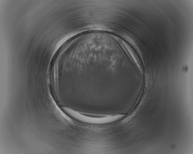 X0000114611141200911101146