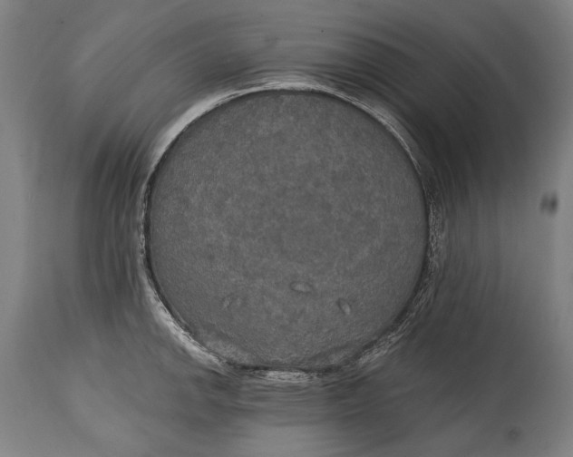 X0000114611142200911101146