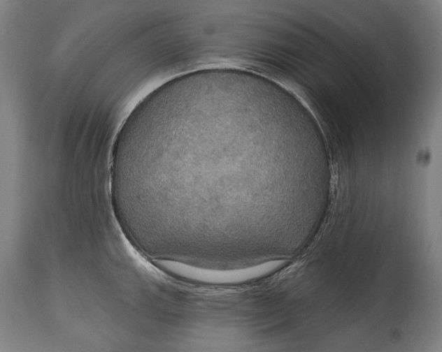 X0000114611143200911101146