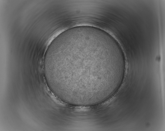 X0000114611145200911101146