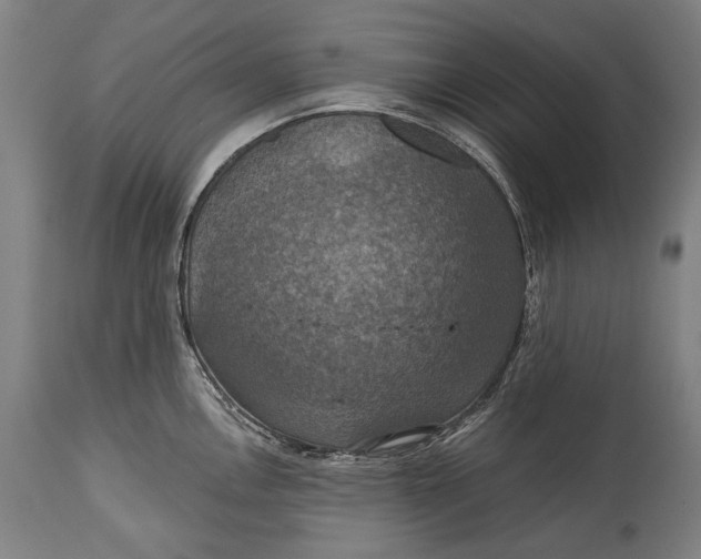 X0000114611146200911101146