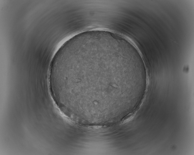 X0000114611149200911101146