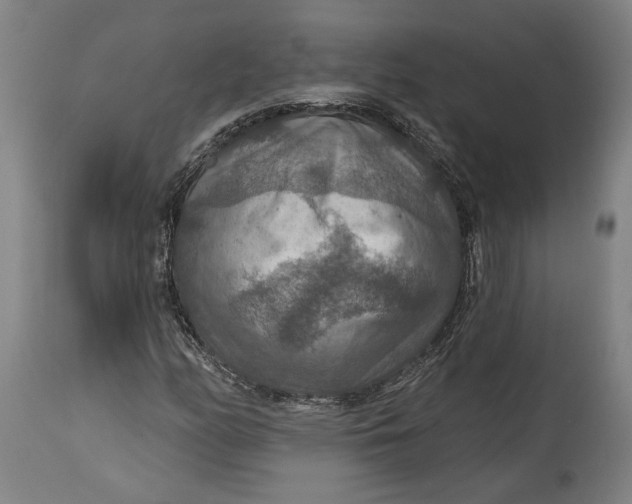 X0000114611158200911101145