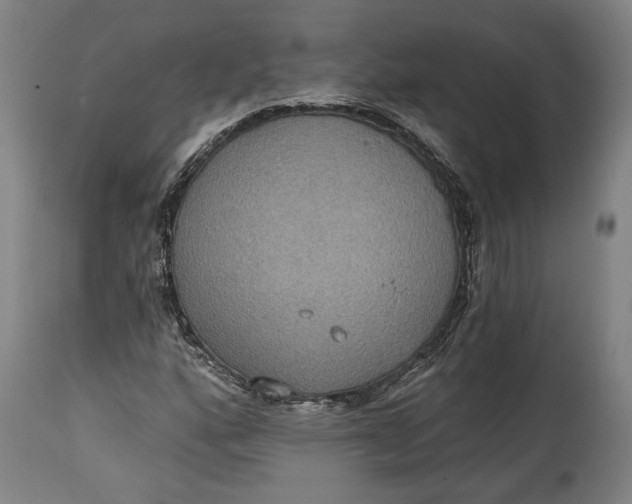 X0000114611160200911101145