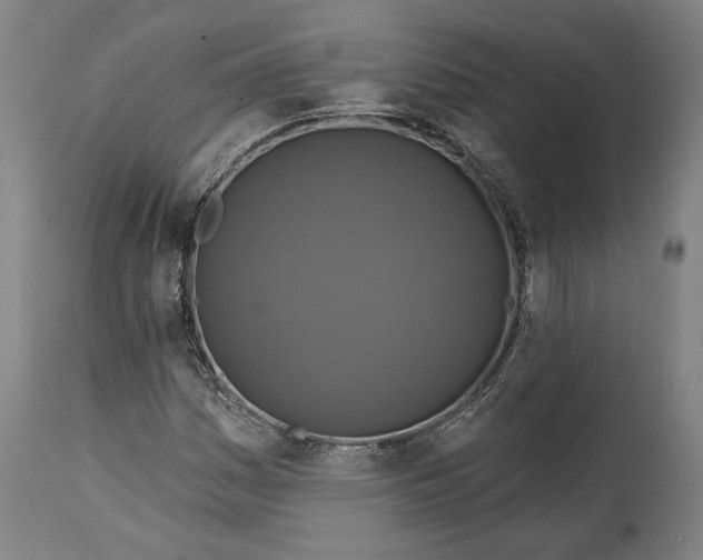 X0000114611161200911101145