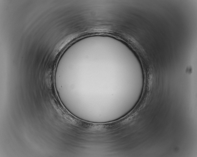 X0000114611162200911101145