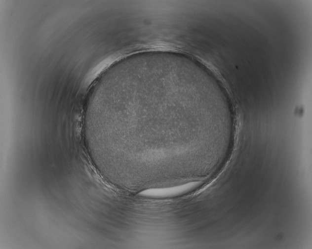 X0000114611163200911101145