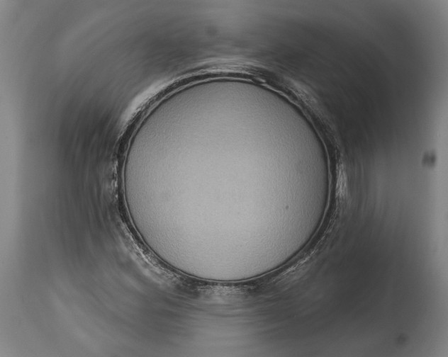 X0000114611164200911101145