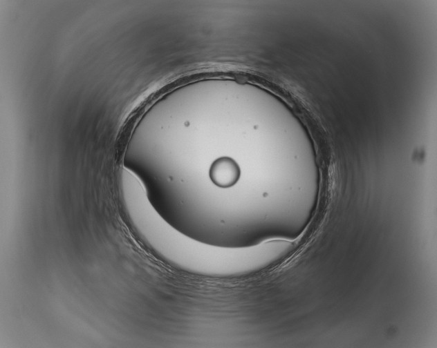 X0000114611165200911101145