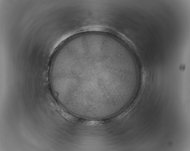 X0000114611166200911101145