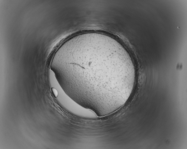 X0000114611167200911101145