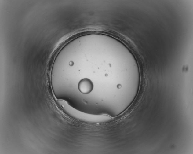 X0000114611168200911101145