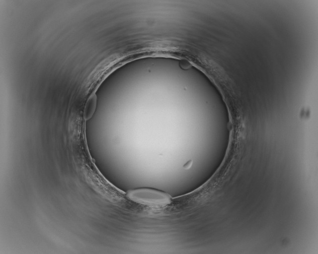 X0000114611169200911101145