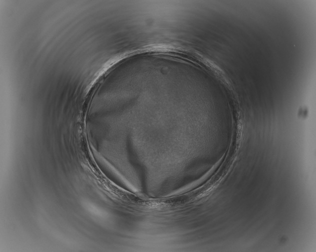 X0000114611170200911101145