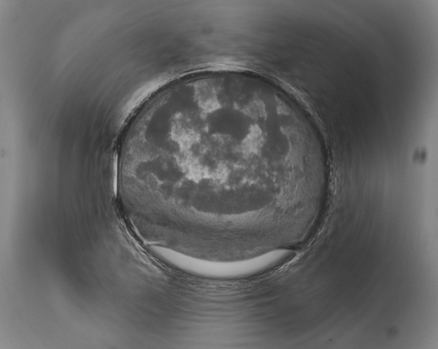 X0000114611171200911101145