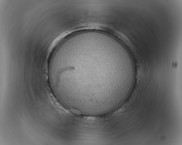 X0000114611172200911101145