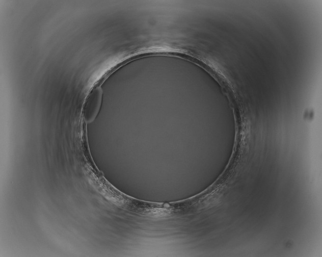 X0000114611173200911101145