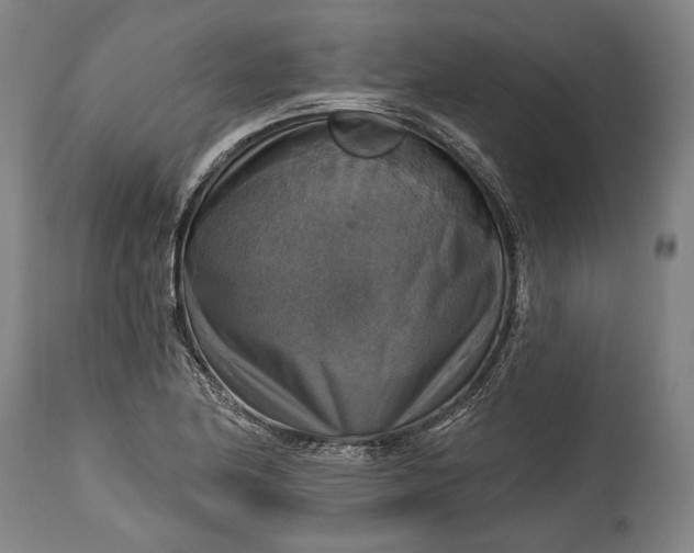 X0000114611174200911101145