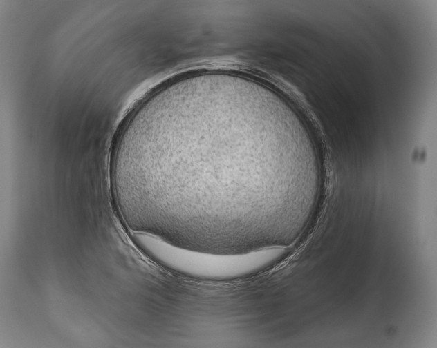 X0000114611176200911101145