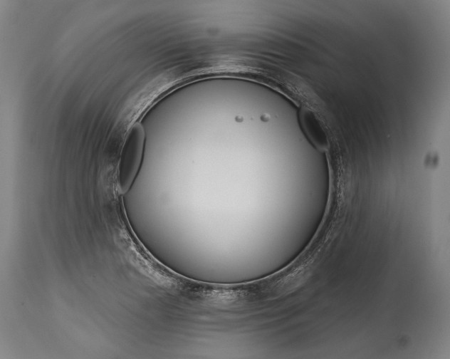 X0000114611177200911101145