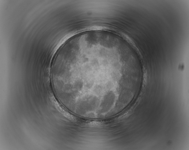 X0000114611178200911101145