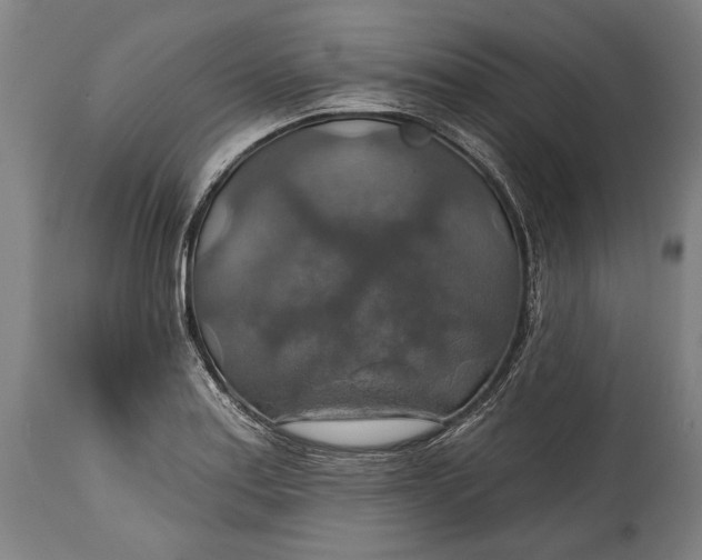 X0000114611179200911101145