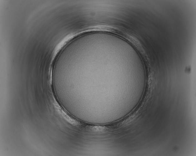 X0000114611180200911101145