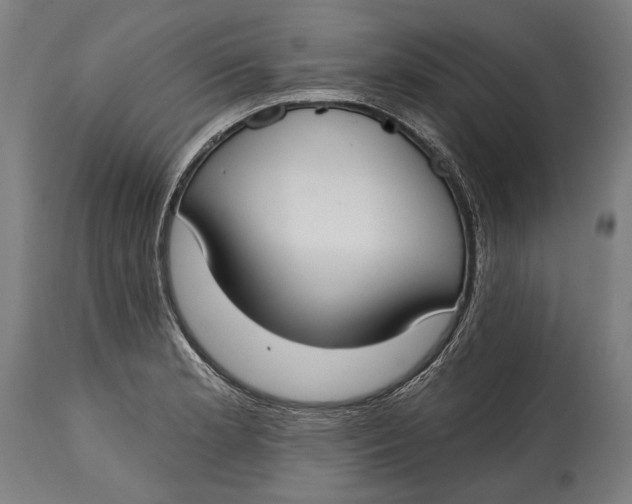 X0000114611181200911101145