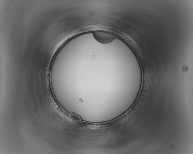 X0000114611182200911101145