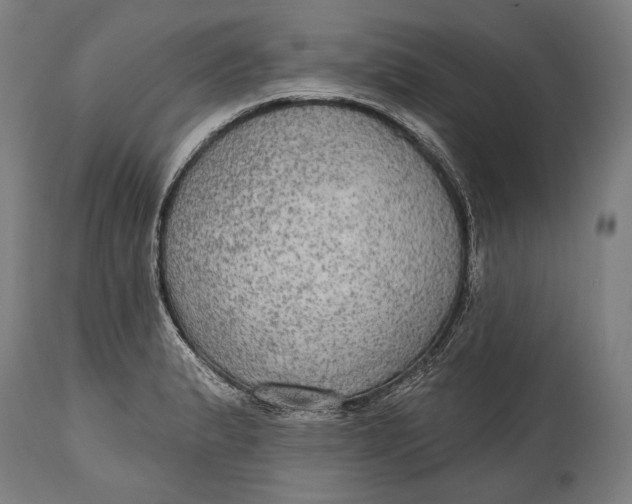 X0000114611183200911101145