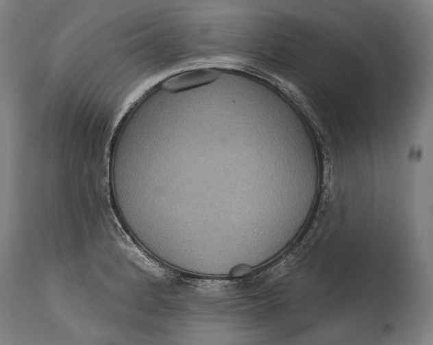 X0000114611184200911101145