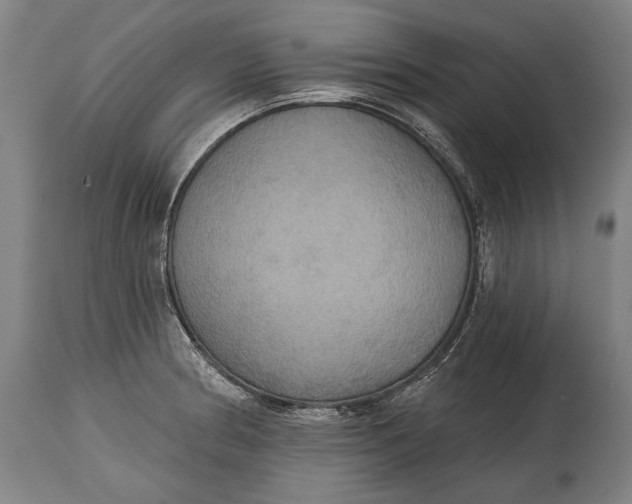 X0000114611186200911101145