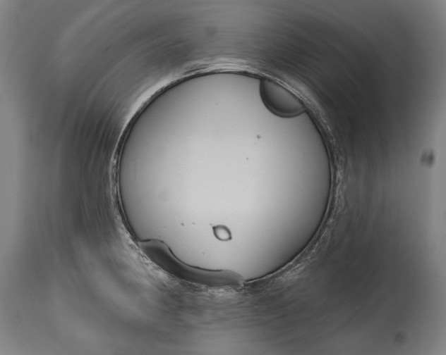 X0000114611190200911101145