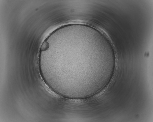 X0000114611192200911101145