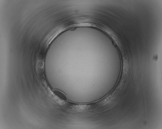 X0000114611193200911101145