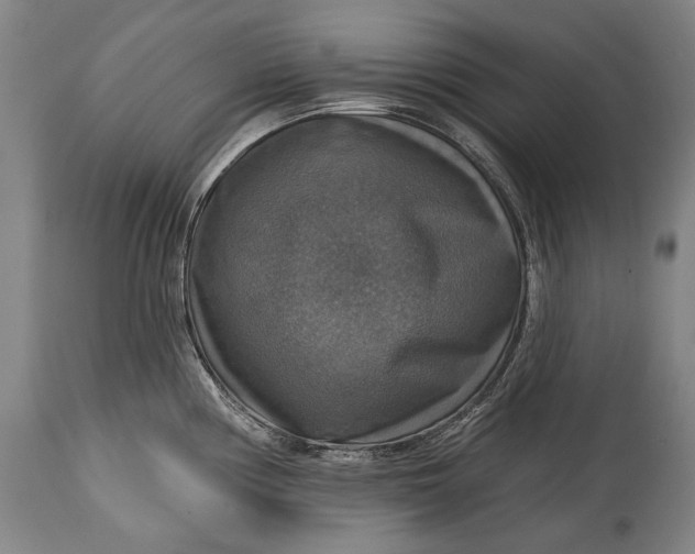 X0000114611194200911101145