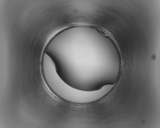 X0000114611195200911101145