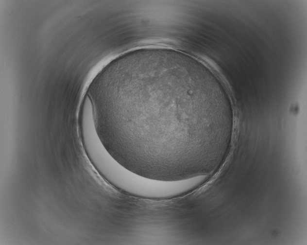 X0000114611196200911101145