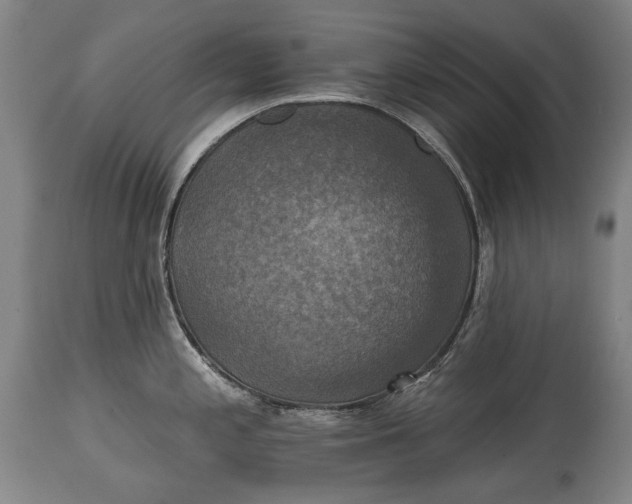 X0000114611197200911101145