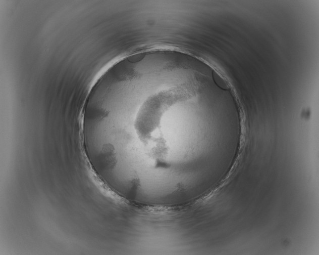 X0000114611198200911101145