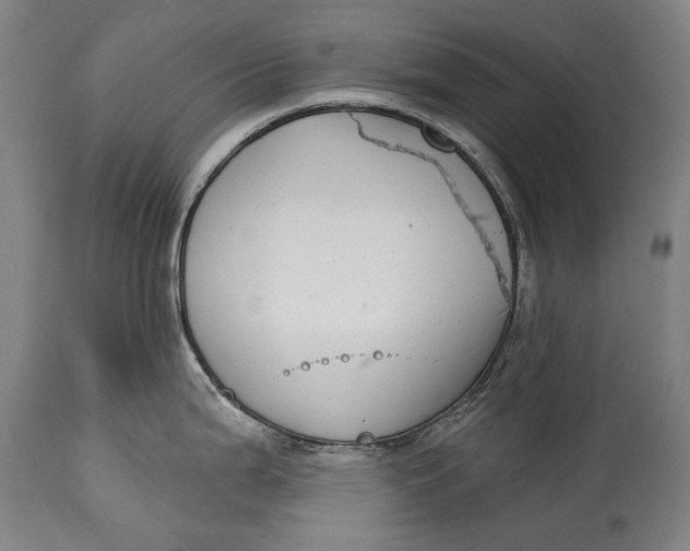 X0000114611199200911101145