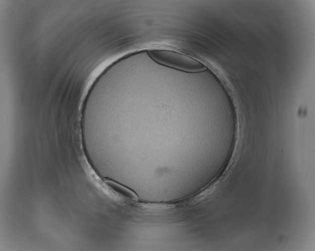 X0000114611200200911101145