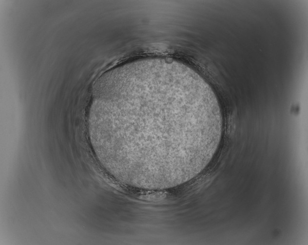 X0000114611201200911101144