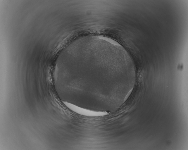 X0000114611202200911101144