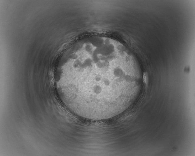 X0000114611203200911101144