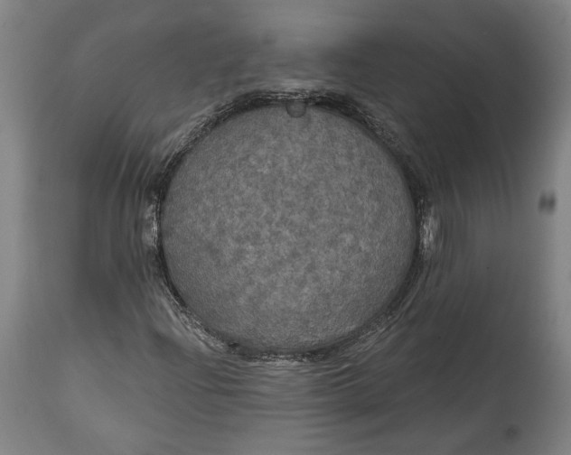 X0000114611204200911101144