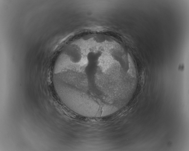 X0000114611205200911101144