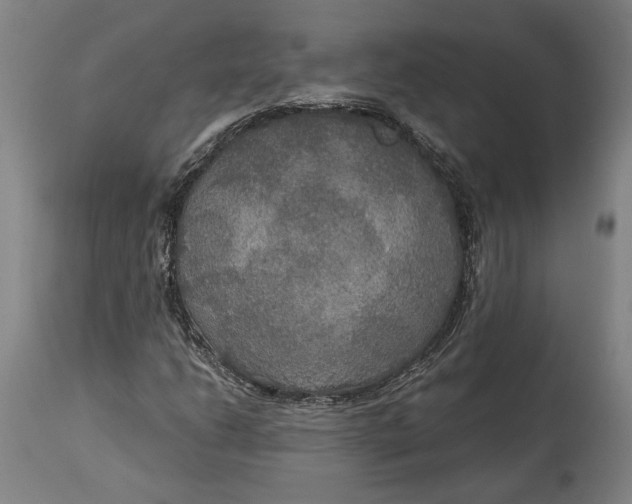 X0000114611206200911101144