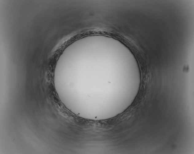 X0000114611207200911101144