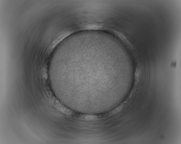 X0000114611209200911101144